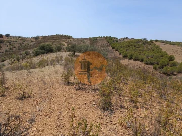 Terreno para Venda em Azinhal