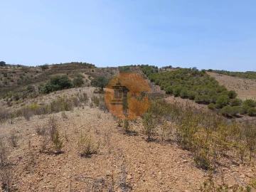 Terreno para Venda em Azinhal