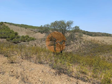Terreno para Venda em Azinhal