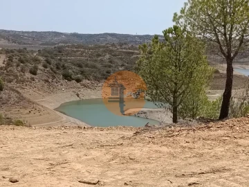 Terreno para Venda em Azinhal