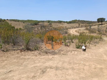 Terreno para Venda em Azinhal