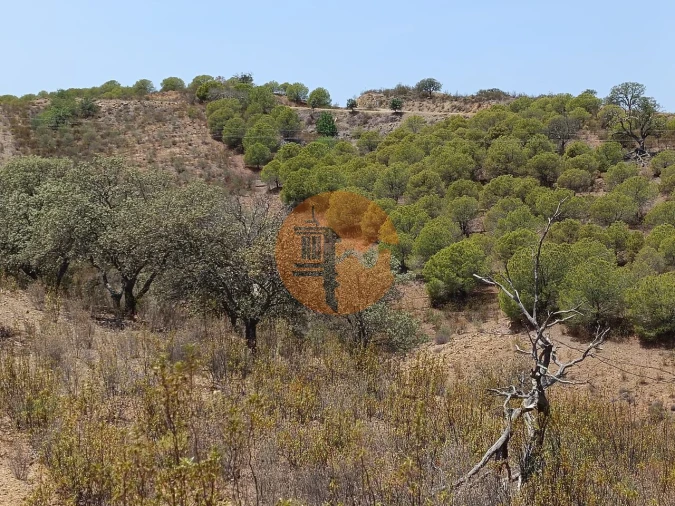 Terreno para Venda em Azinhal Foto 7