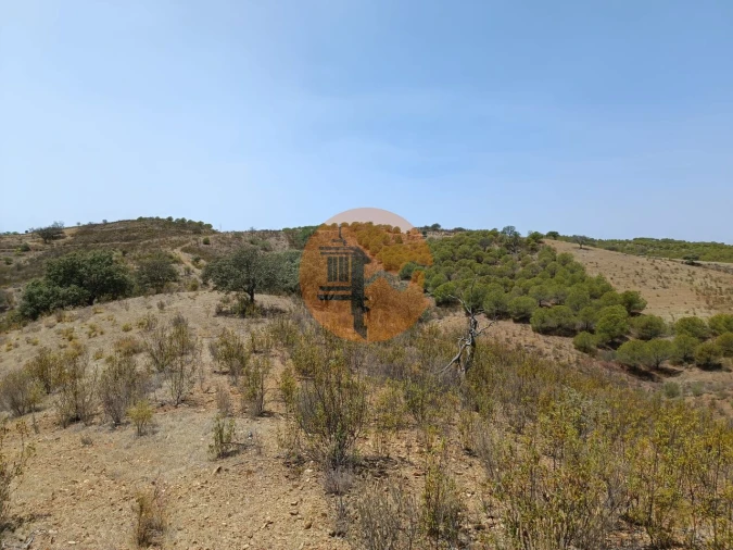 Terreno para Venda em Azinhal Foto 10