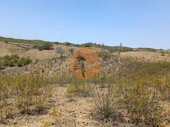 Terreno para Venda em Azinhal Foto 11