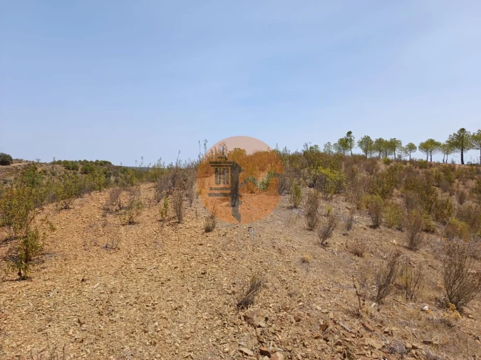 Terreno para Venda em Azinhal Foto 16