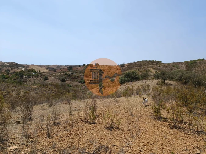 Terreno para Venda em Azinhal Foto 22