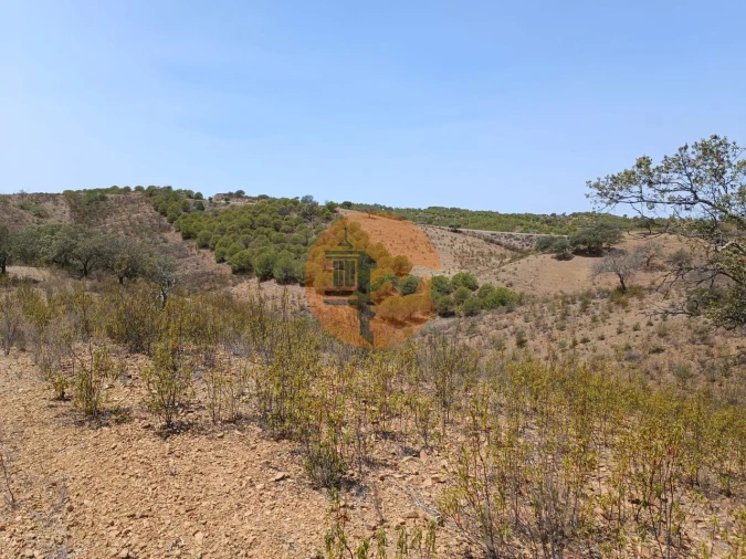 Terreno para Venda em Azinhal Foto 25