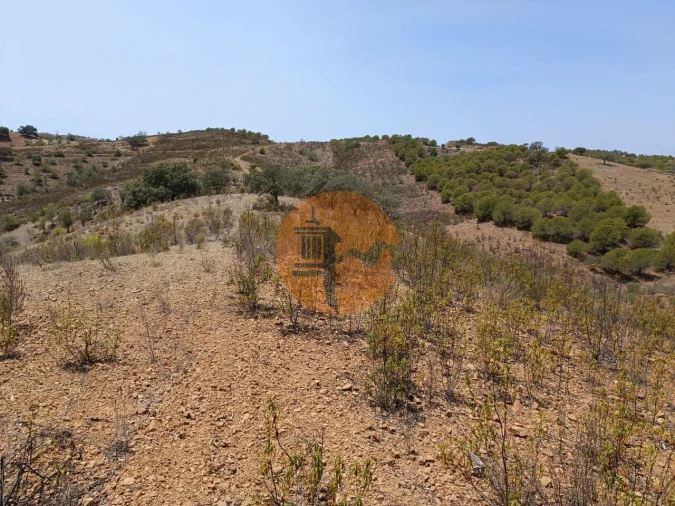 Terreno para Venda em Azinhal Foto 26