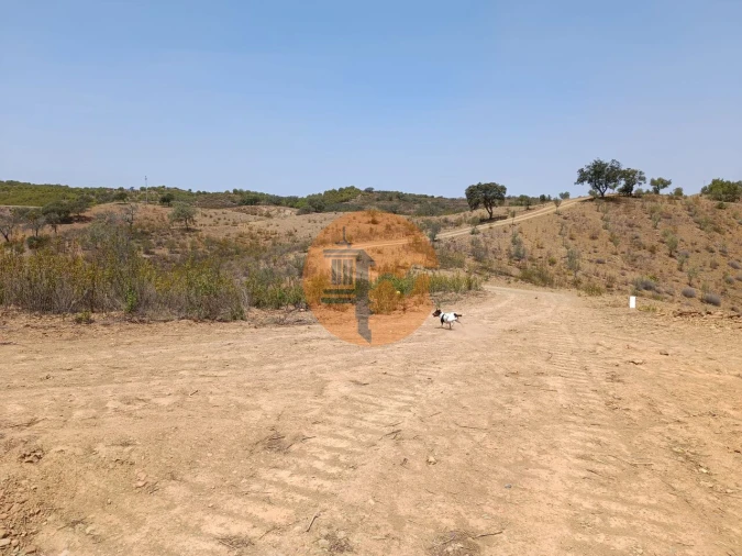 Terreno para Venda em Azinhal Foto 33