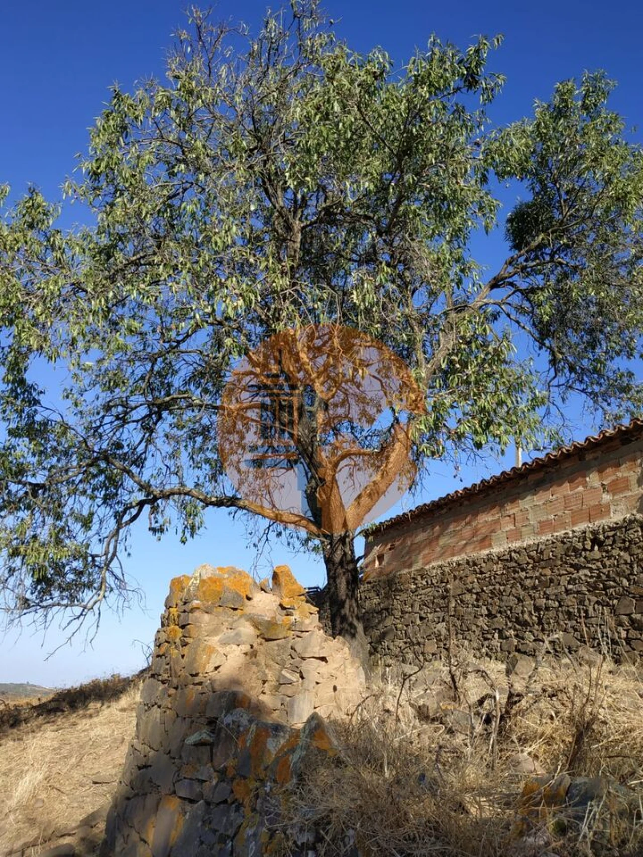 Moradia T3 para Venda em Odeleite Foto 48