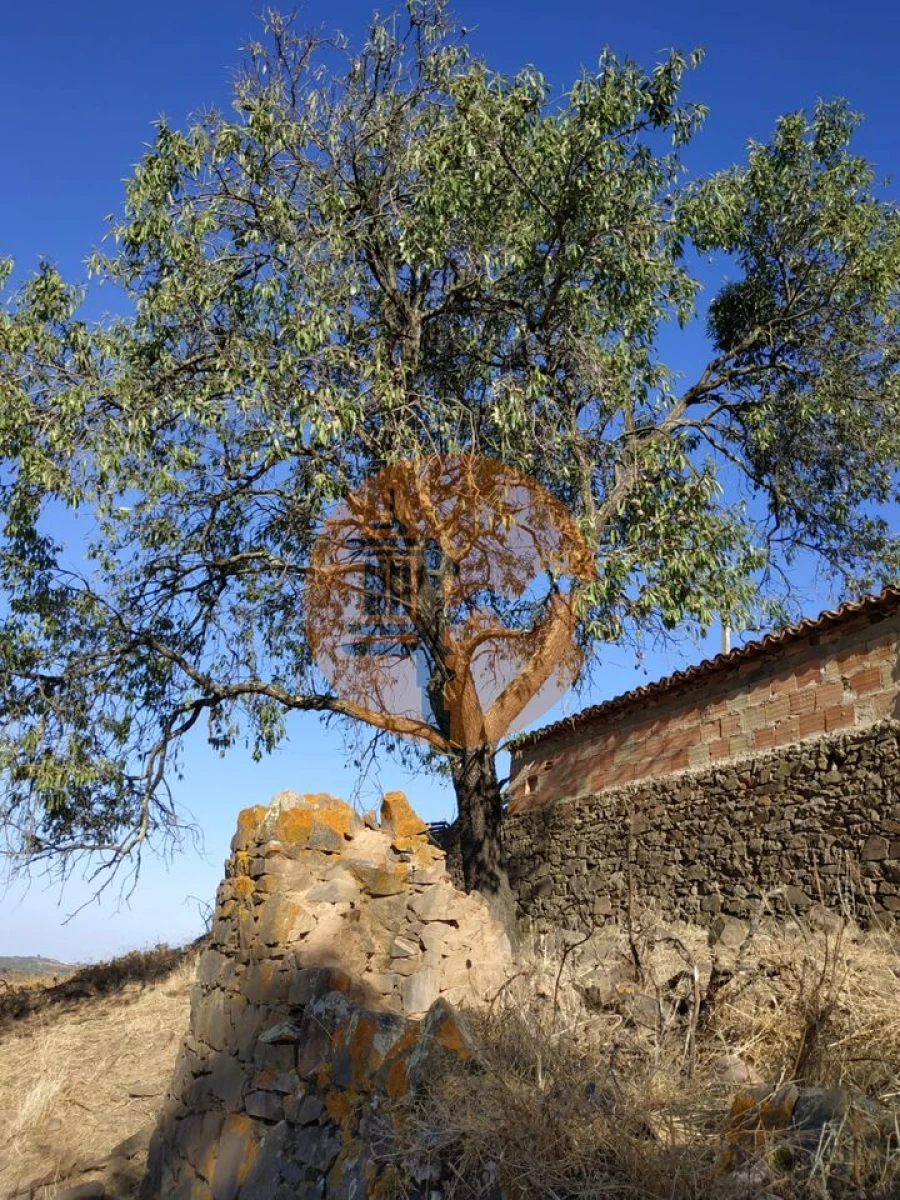 Moradia T3 para Venda em Odeleite Foto 48