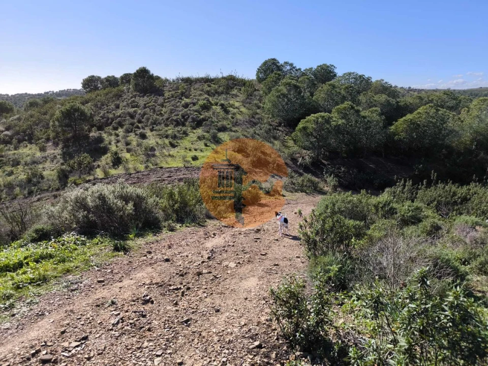 Terreno para Venda em Castro Marim Foto 3