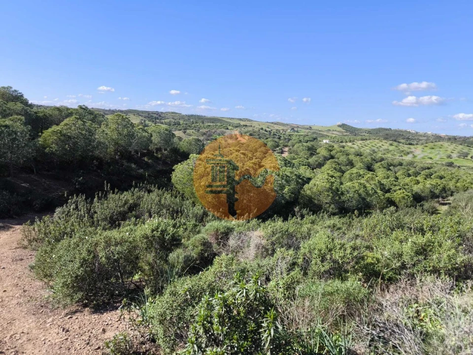 Terreno para Venda em Castro Marim Foto 18