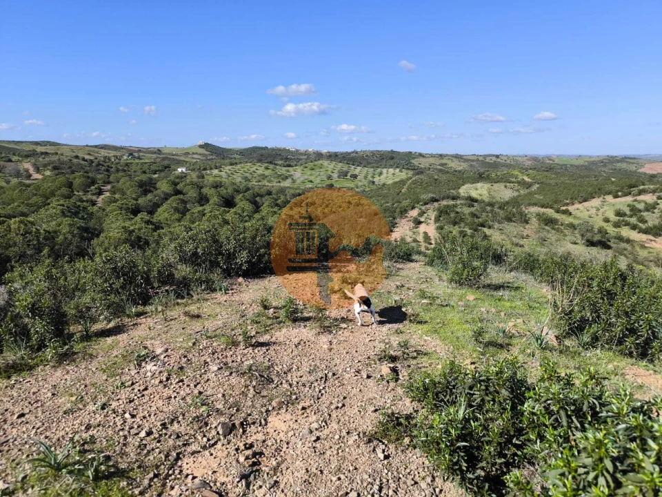 Terreno para Venda em Castro Marim Foto 26