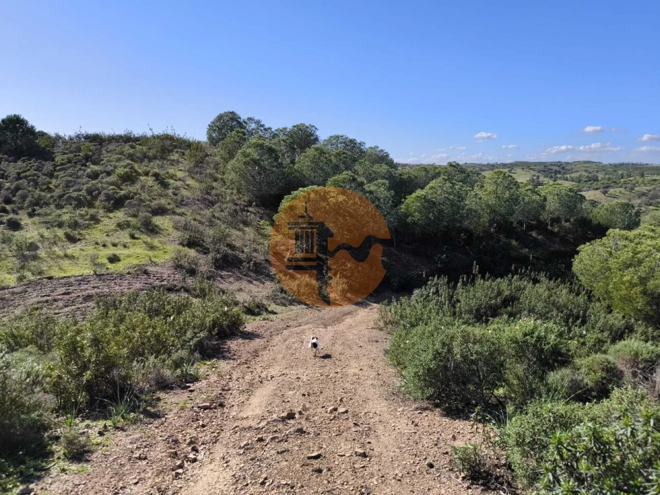 Terreno para Venda em Castro Marim Foto 9