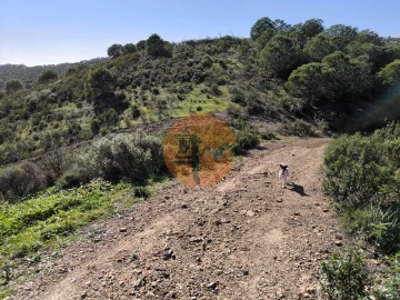 Terreno para Venda em Castro Marim