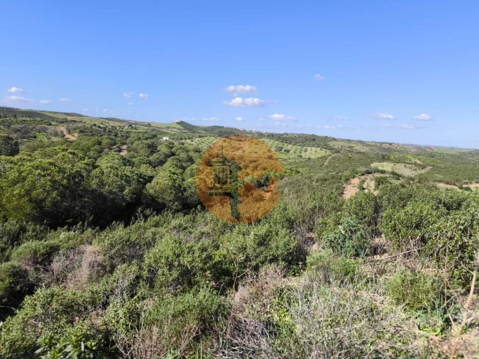 Terreno para Venda em Castro Marim Foto 6