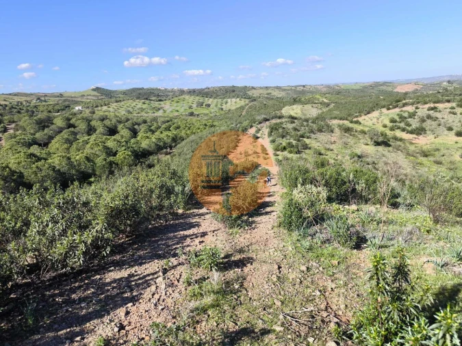 Terreno para Venda em Castro Marim Foto 16