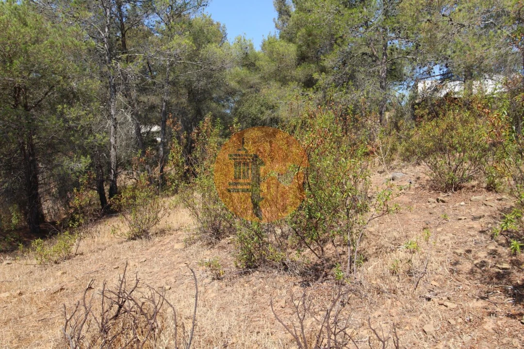 Quinta T2 para Venda em Azinhal Foto 13