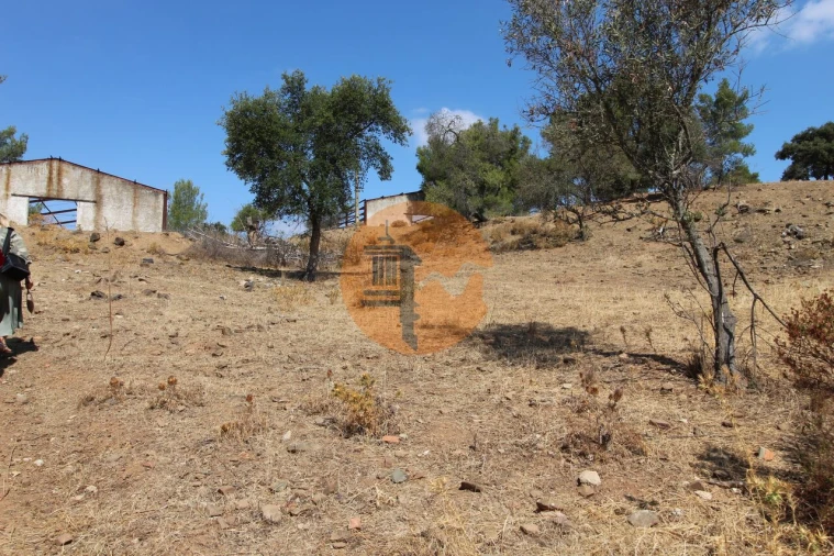 Quinta T2 para Venda em Azinhal Foto 17