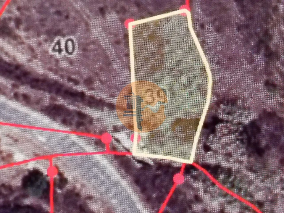 Terreno para Venda em Azinhal Foto 19