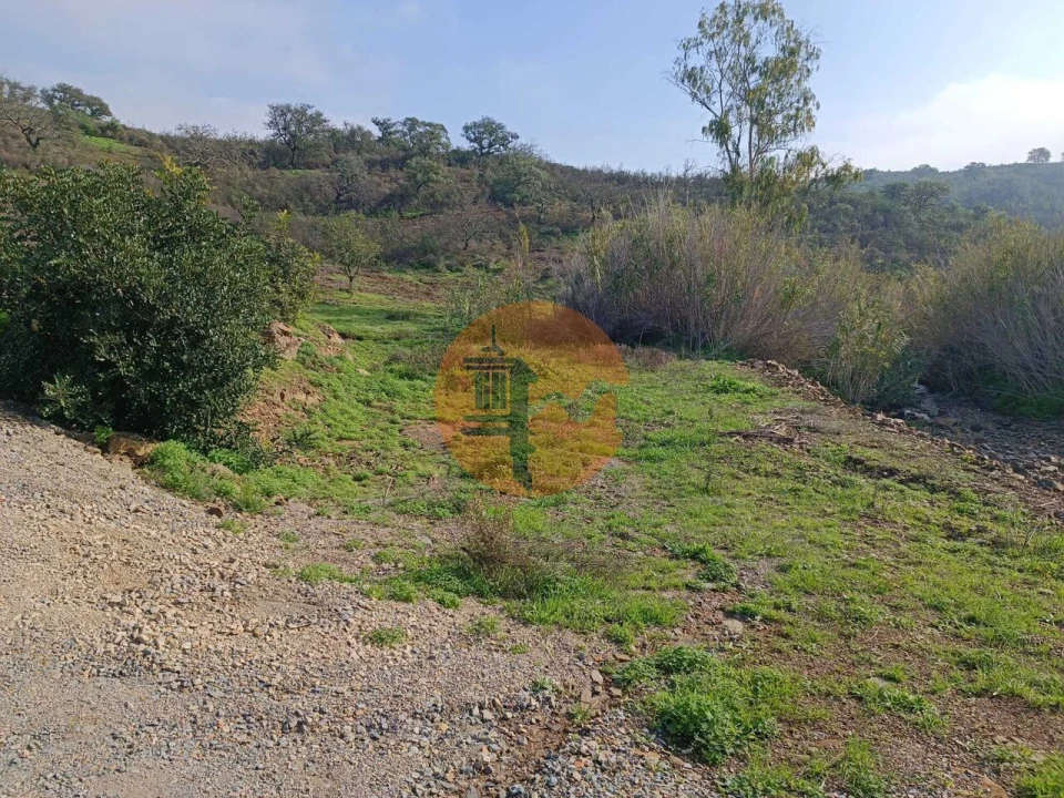Terreno para Venda em Azinhal Foto 10