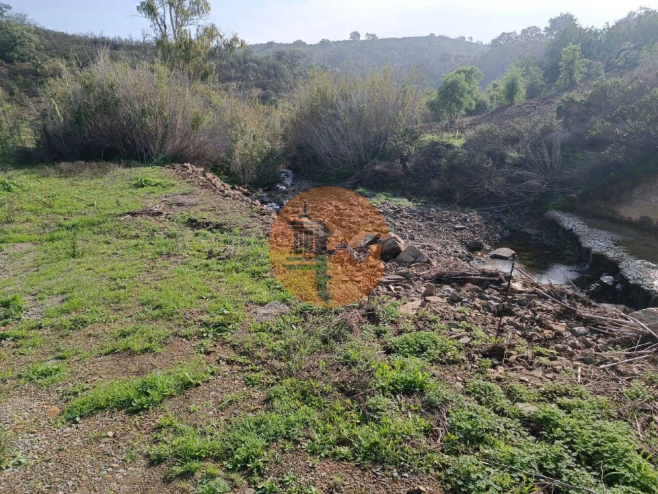 Terreno para Venda em Azinhal Foto 6