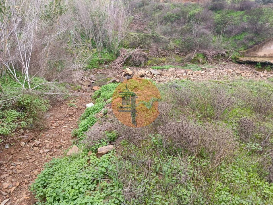 Terreno para Venda em Azinhal Foto 31