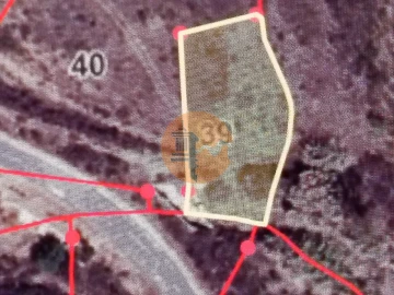 Terreno para Venda em Azinhal