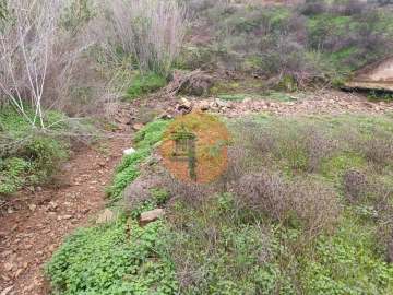 Terreno para Venda em Azinhal