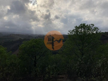 Terreno para Venda em Azinhal