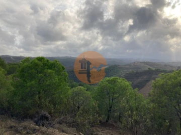 Terreno para Venda em Azinhal