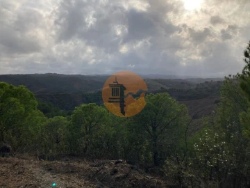 Terreno para Venda em Azinhal