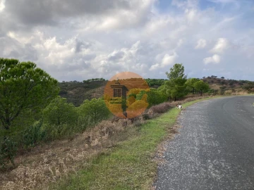 Terreno para Venda em Azinhal