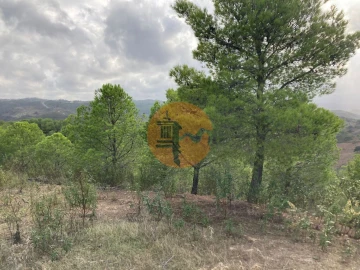 Terreno para Venda em Azinhal