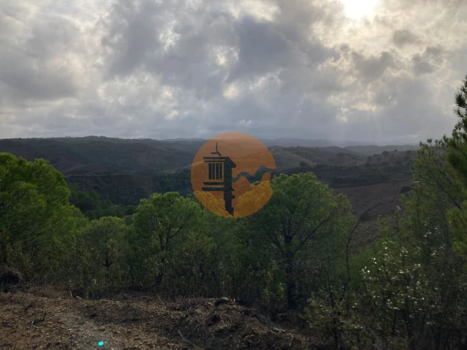 Terreno para Venda em Azinhal Foto 15