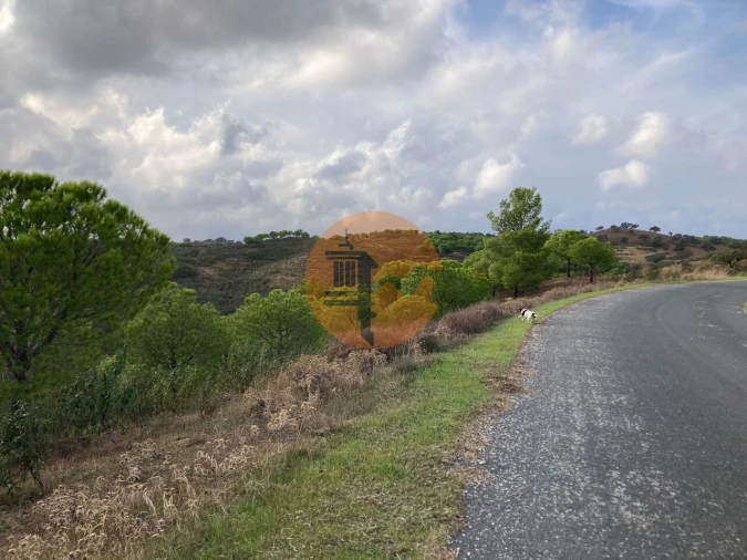 Terreno para Venda em Azinhal Foto 18