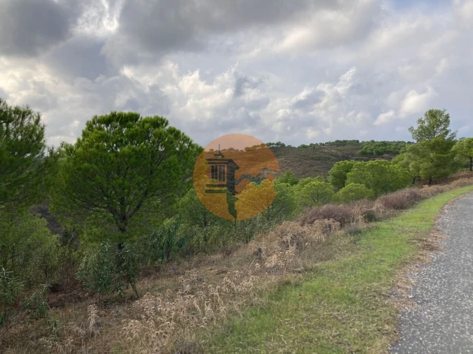Terreno para Venda em Azinhal Foto 20