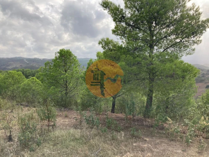 Terreno para Venda em Azinhal Foto 21