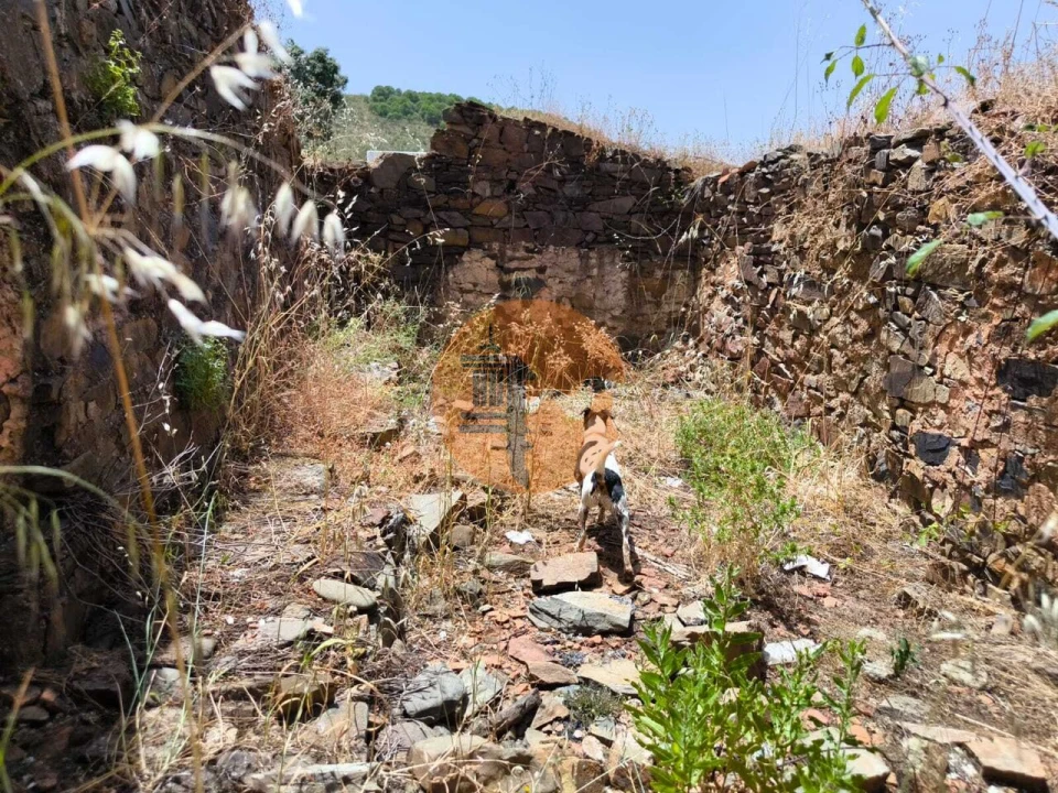 Terreno para Venda em Azinhal Foto 3