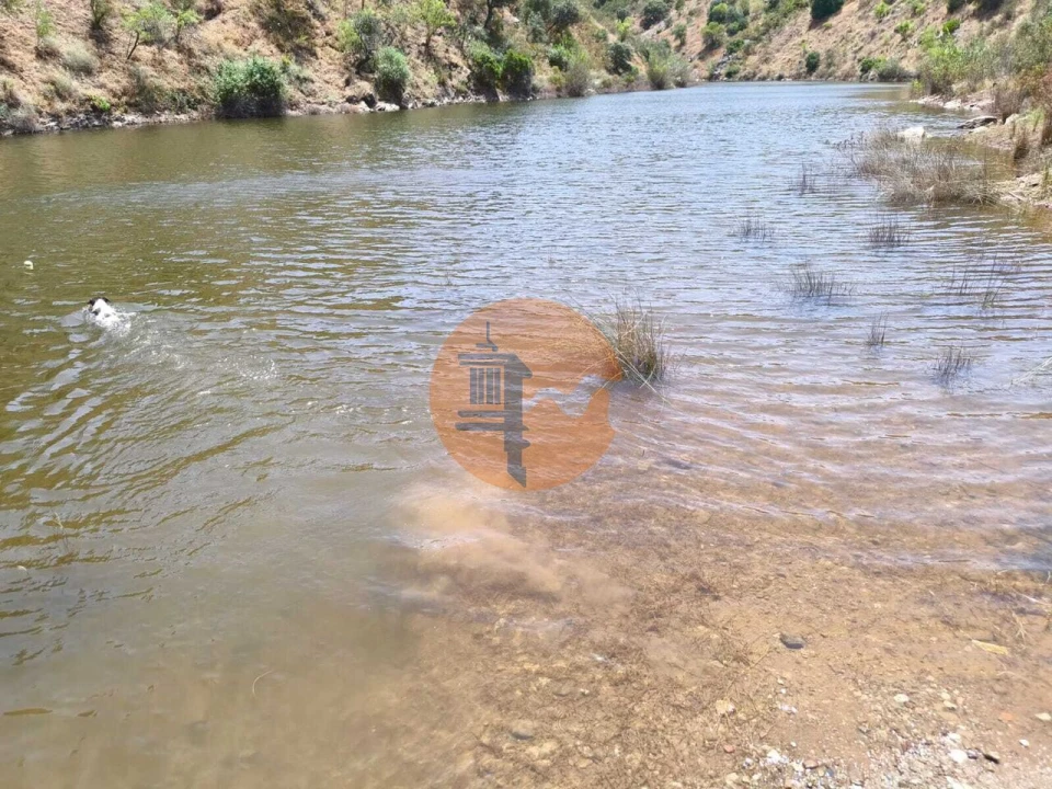 Terreno para Venda em Azinhal Foto 11