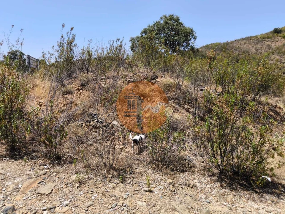 Terreno para Venda em Azinhal Foto 15