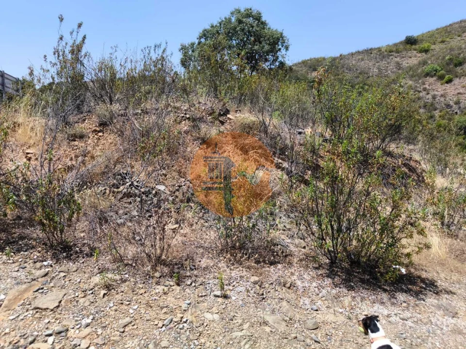 Terreno para Venda em Azinhal Foto 16