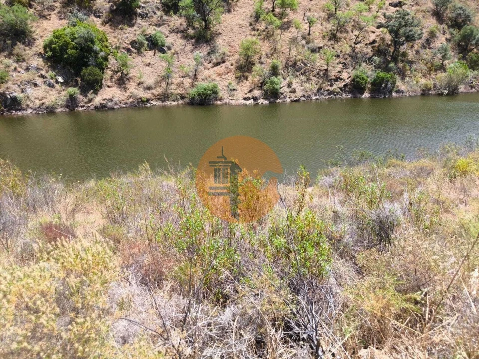 Terreno para Venda em Azinhal Foto 18