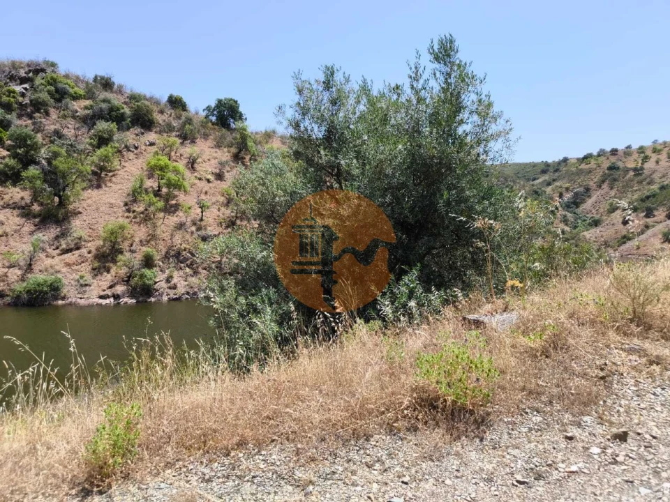 Terreno para Venda em Azinhal Foto 20