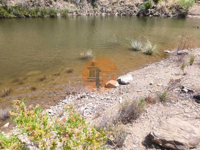 Terreno para Venda em Azinhal Foto 8