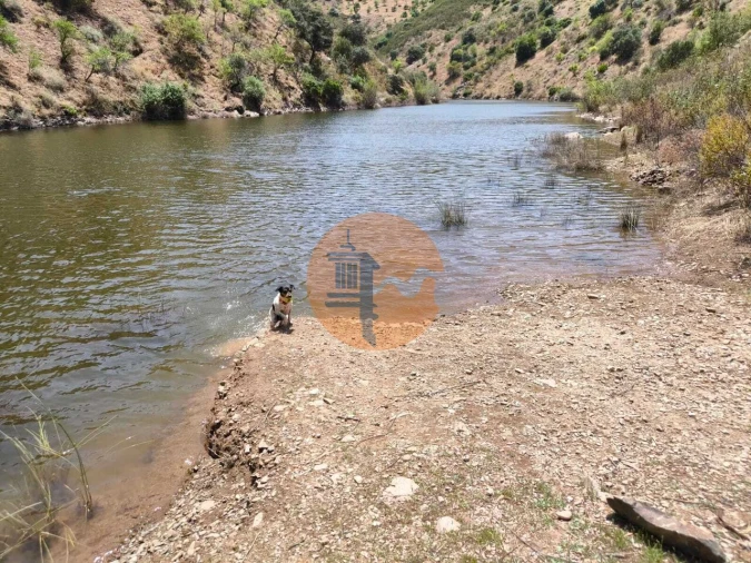 Terreno para Venda em Azinhal Foto 10