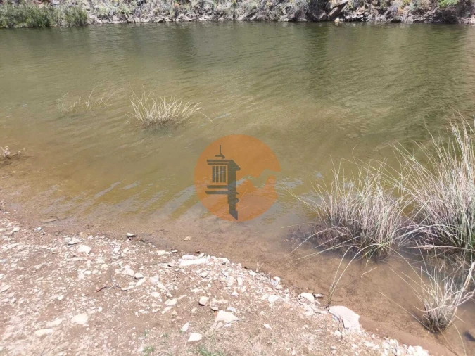 Terreno para Venda em Azinhal Foto 14