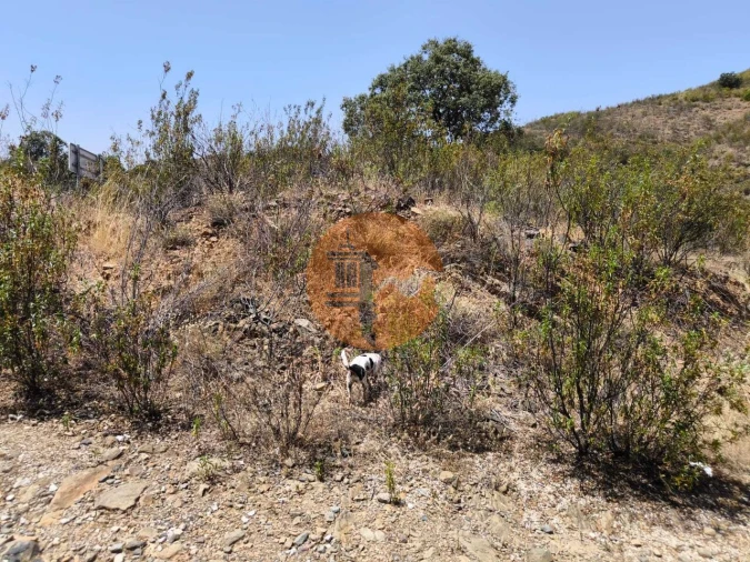 Terreno para Venda em Azinhal Foto 15