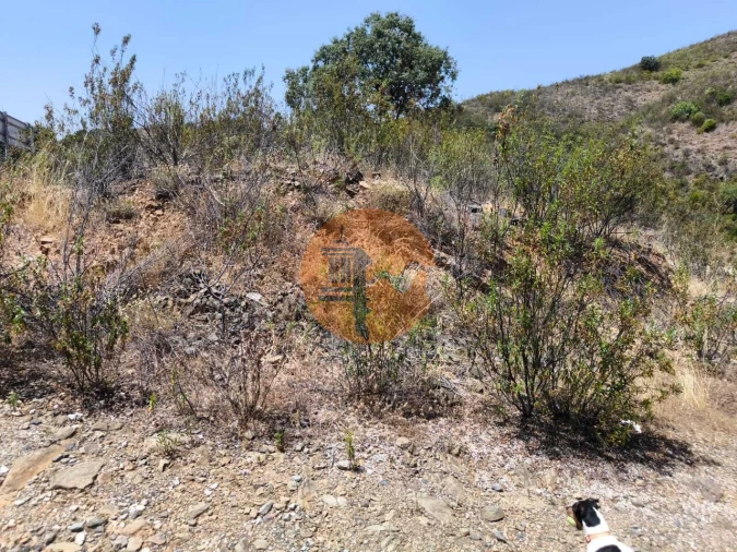 Terreno para Venda em Azinhal Foto 16
